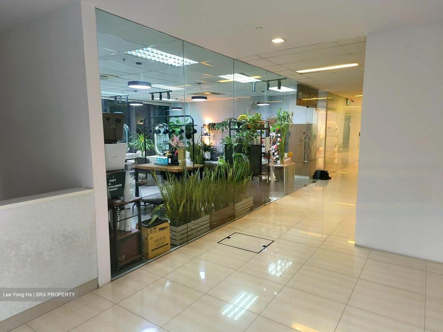 The Mezzo (D12), Retail #486332051